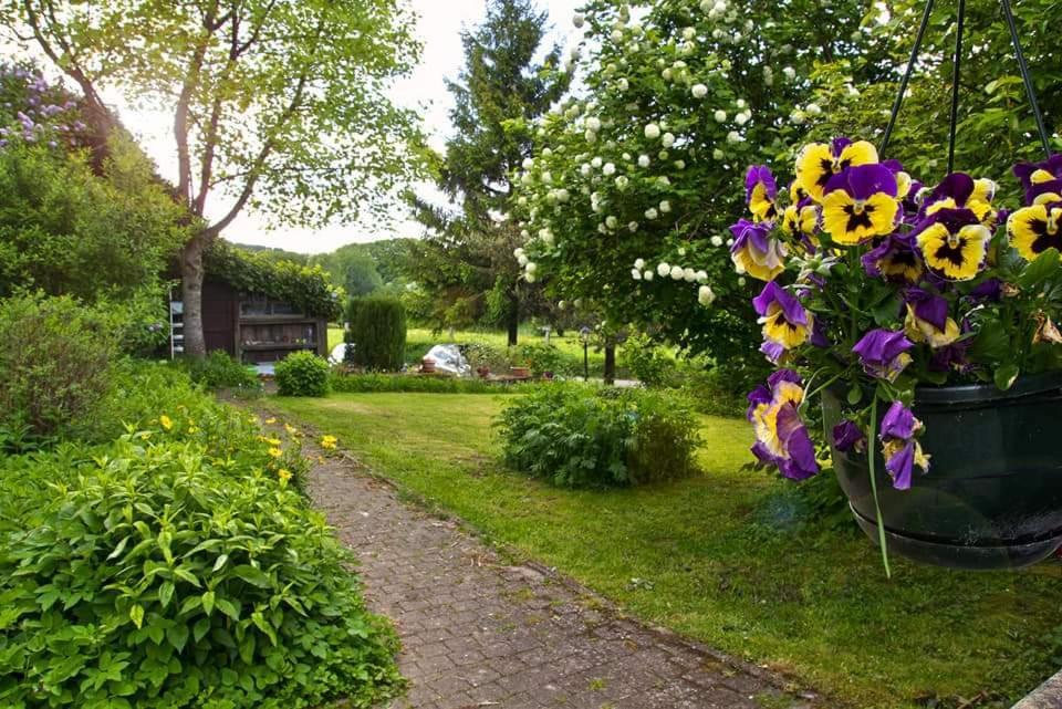 La Petite Maison Six Planes Eksteriør bilde